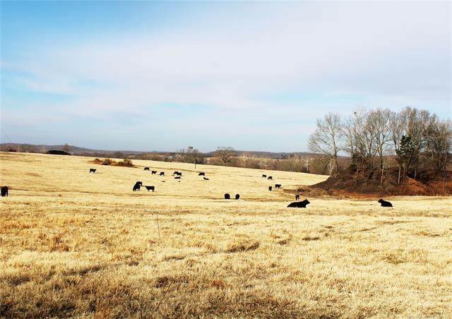 25372 Mine Road - Photo 1