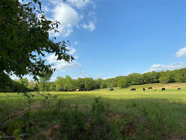 00 Anshultz Road - Photo 1