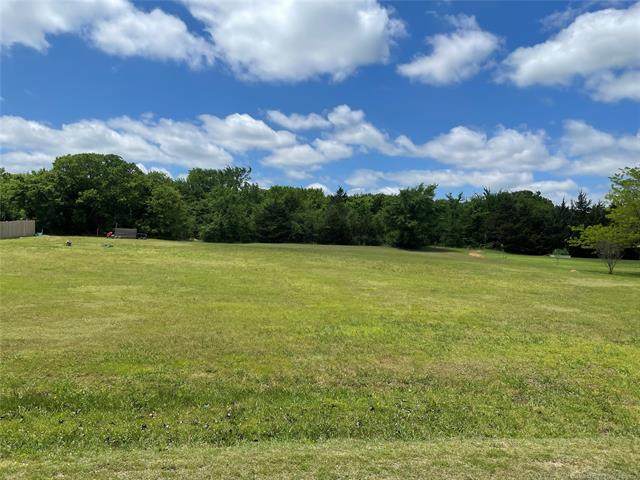 High Chaparral Drive - Photo 1