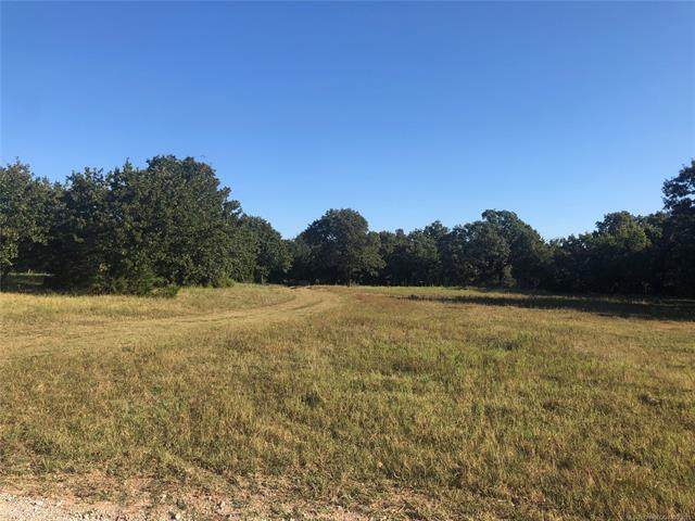 2598 County Road 1405 - Photo 1