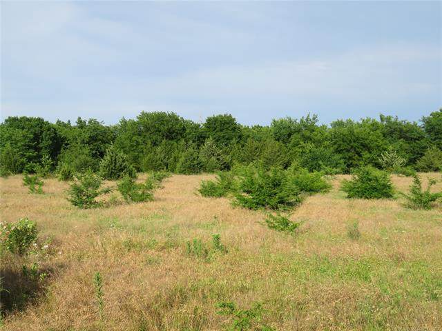 17818 Hwy 75 - Photo 1