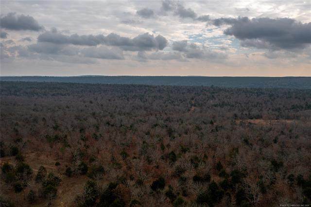 000 Webb Trail - Photo 1