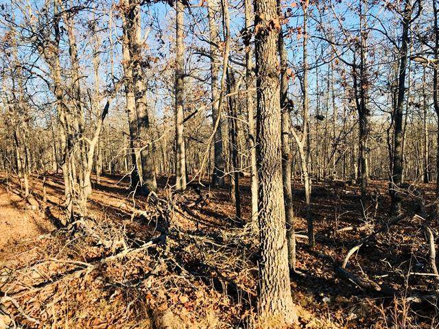 Mcspadden Ridge Road - Photo 1