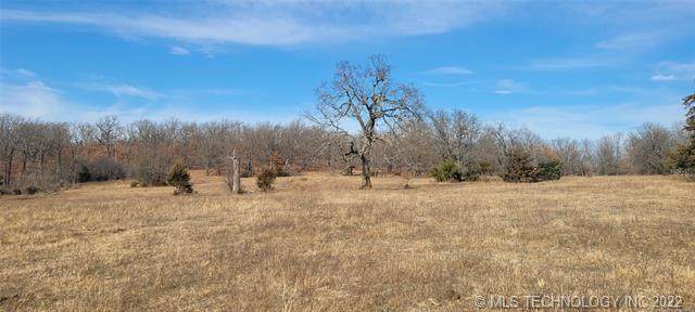 00 225th Avenue - Photo 1