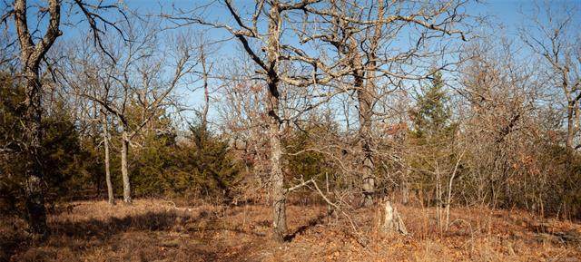 Hieliger Road - Photo 1