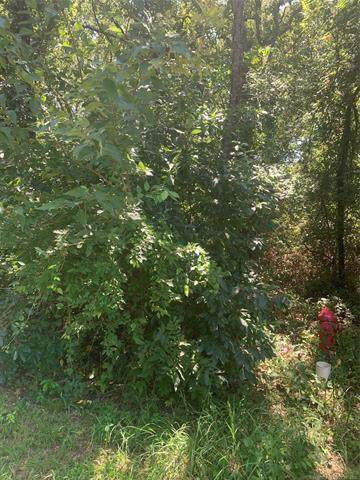 00 Turner Circle - Photo 1
