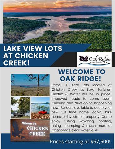 Chicken Creek Road - Photo 1