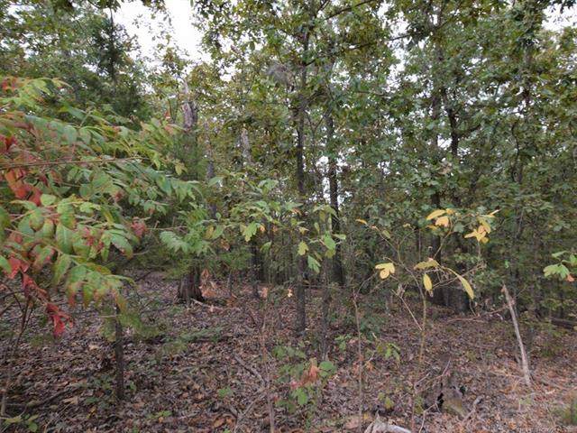 65701 Stompground Road - Photo 1