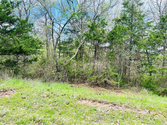 Hickory Lane - Photo 1