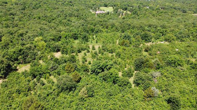 Ogden Mills Road - Photo 1