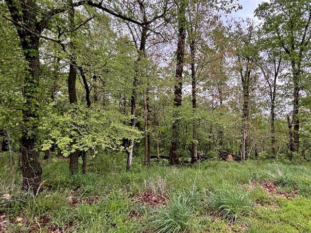 1229 Pheasant Run Road - Photo 1