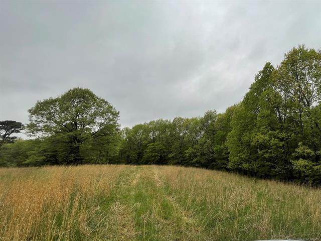 469 White Doe Circle - Photo 1