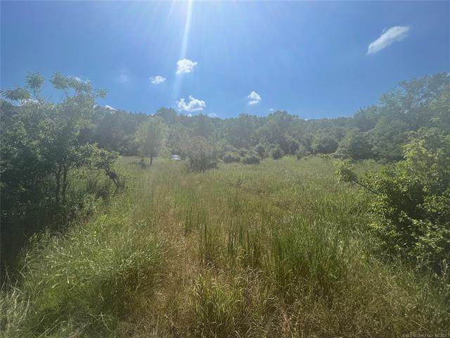 16204 Cedar Road - Photo 1