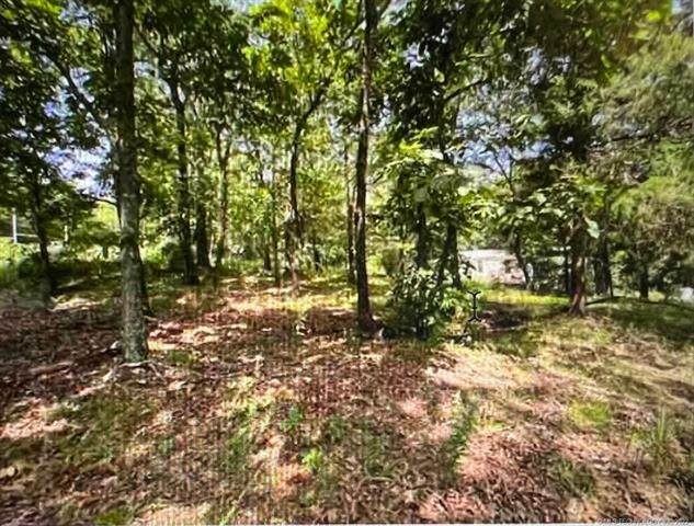 1030 Road - Photo 1
