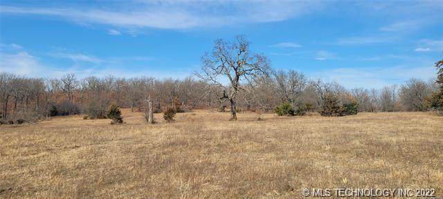 00 225th Avenue - Photo 1