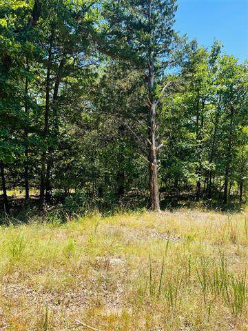 1009 Road - Photo 1