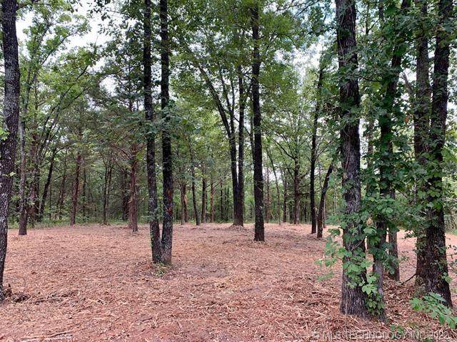 Brandy Lane - Photo 1