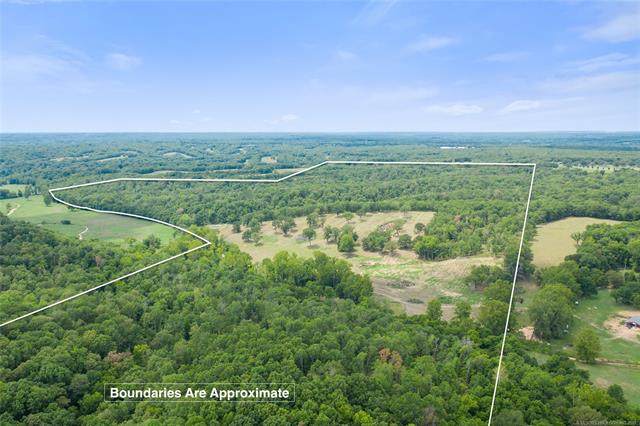 1070 Black Fox Hollow - Photo 1