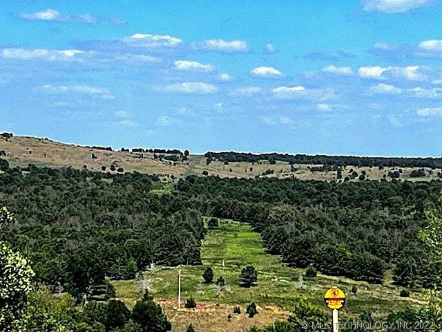 154 Westward Ho Pass - Photo 1