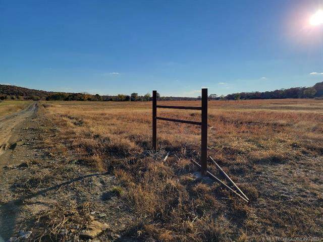 203 Reeds Roost - Photo 1