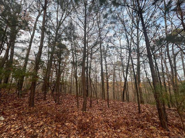 1176 Red Fox Lane - Photo 1