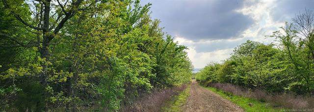 52 Sunset Trail - Photo 1