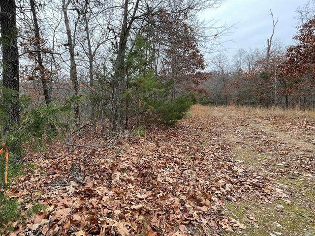 150 Bear Cub Trail - Photo 1