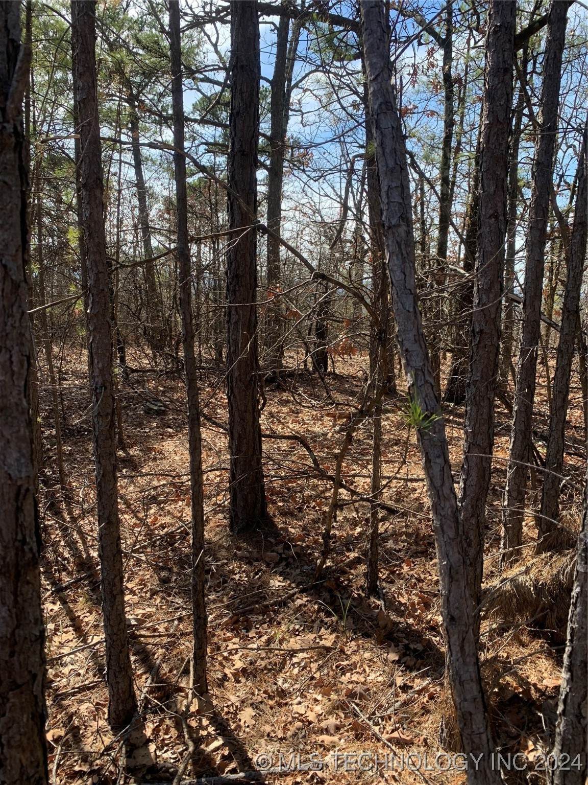 Hwy 82 - Photo 1