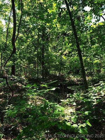 1 Jackson Mountain Road - Photo 1