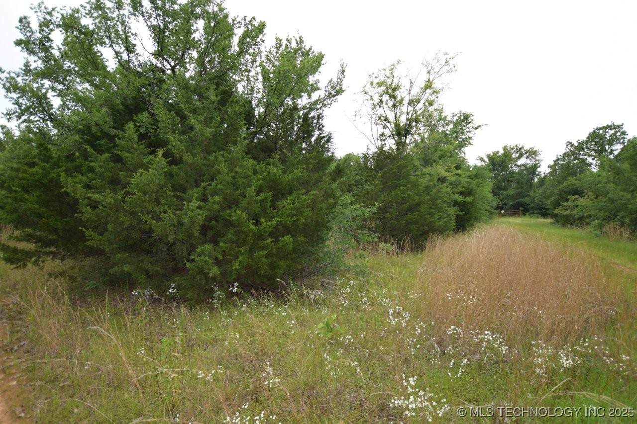449455 980 Road - Photo 1