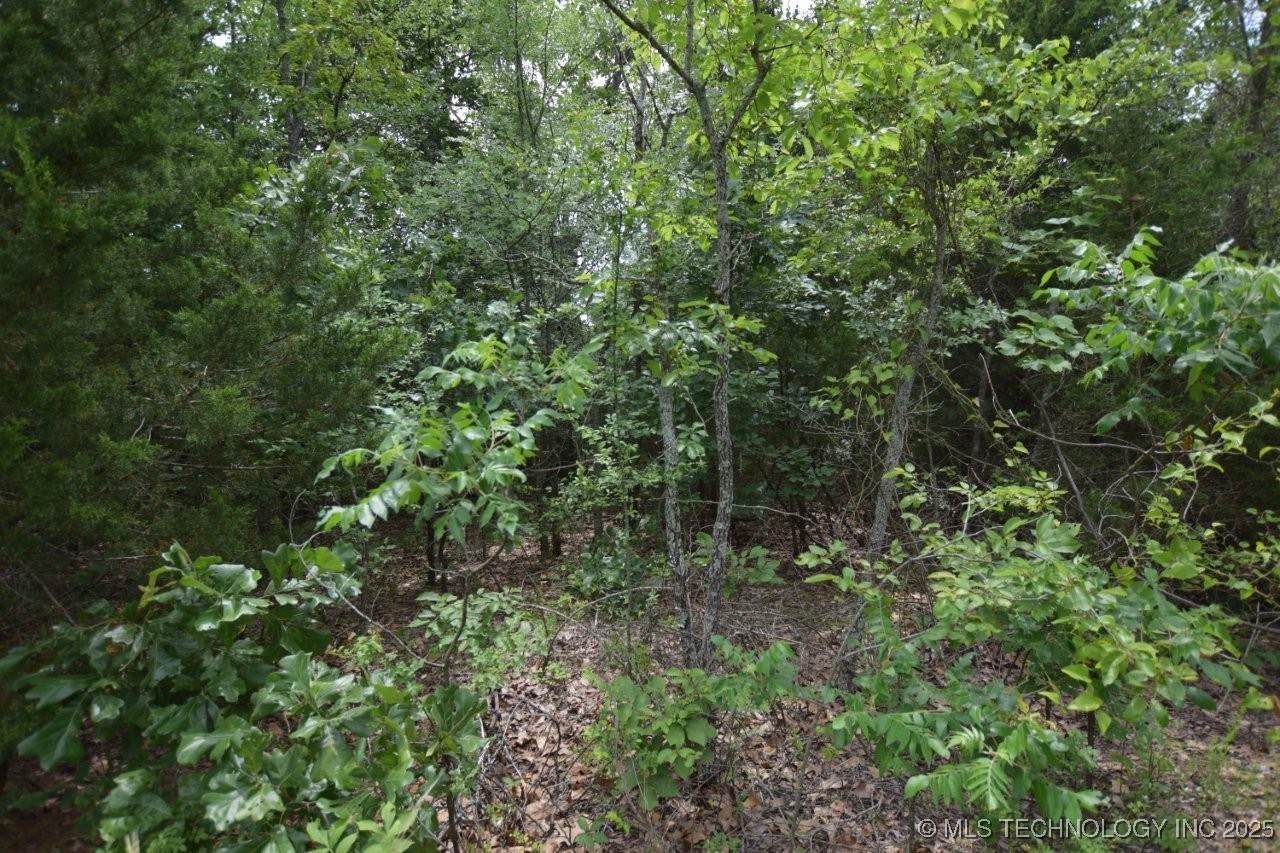 5 980 Road - Photo 1