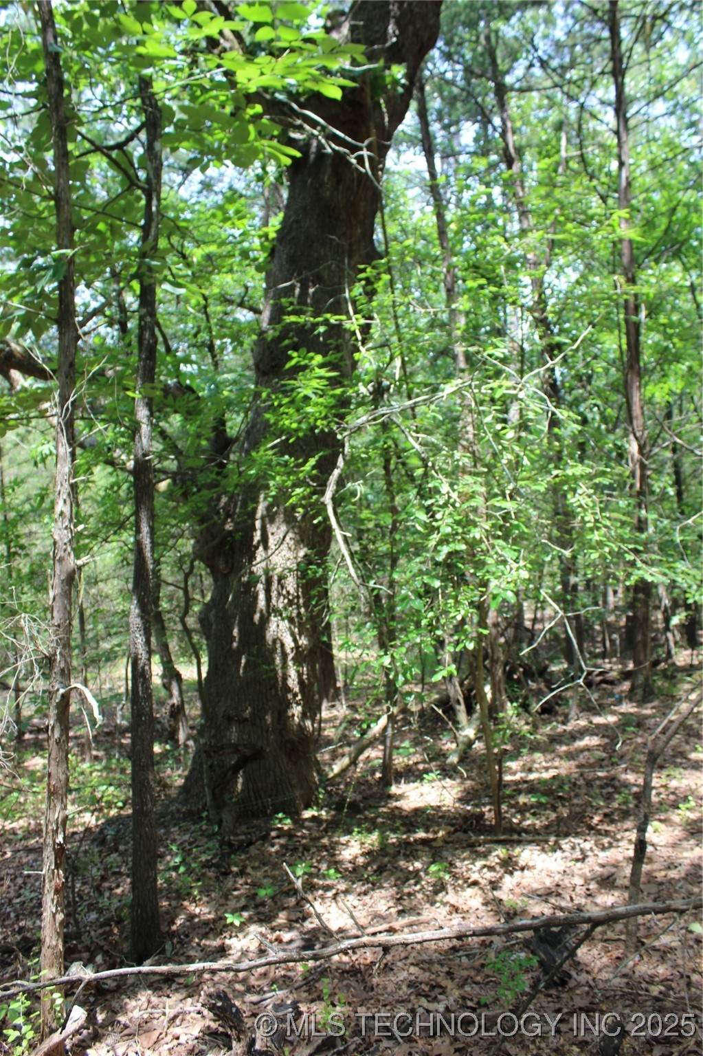 5 1909 Road - Photo 1