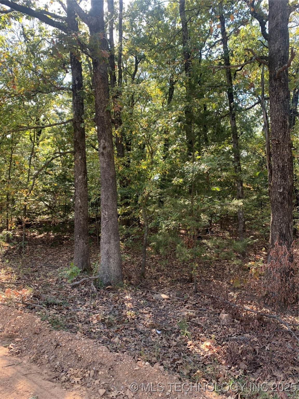 4530 Road - Photo 1