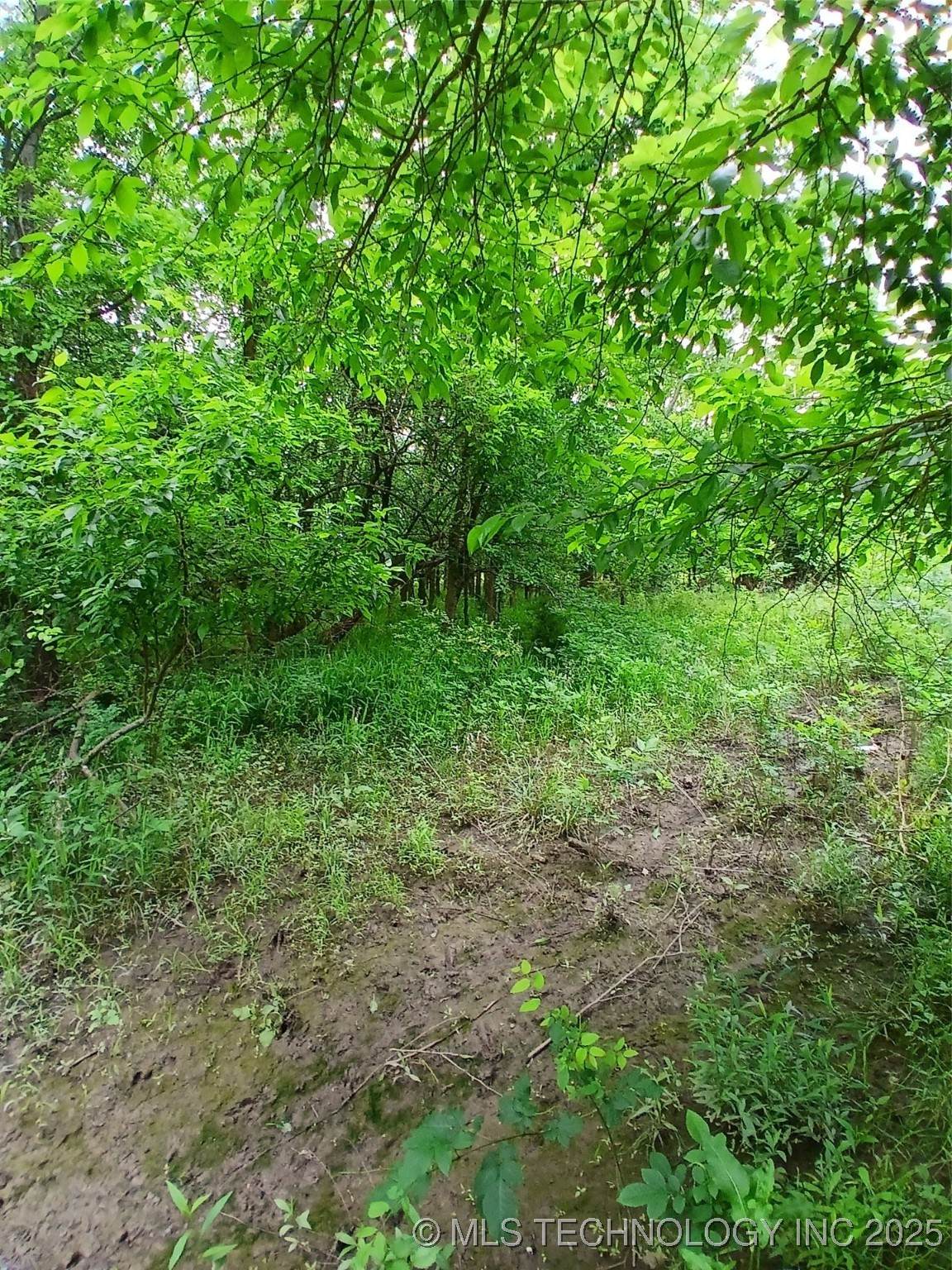  Lynn Lane - Photo 1