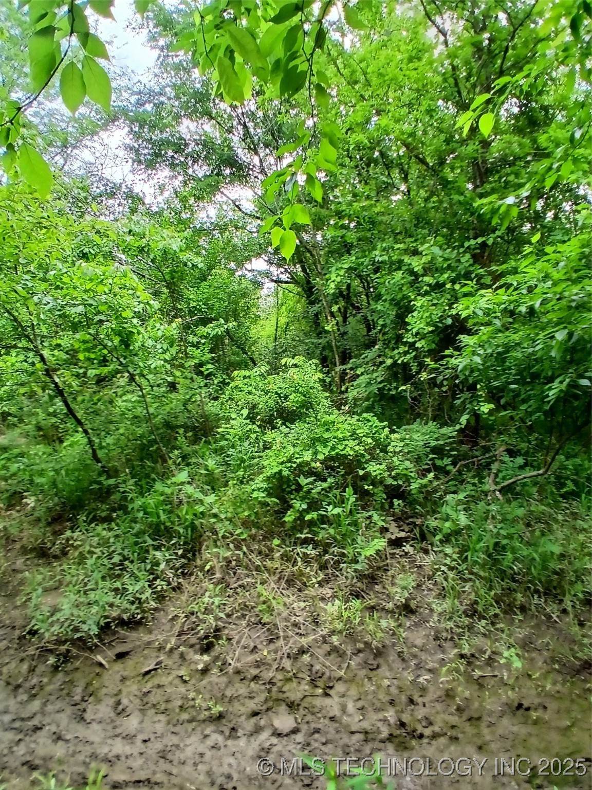  Patton Street - Photo 1