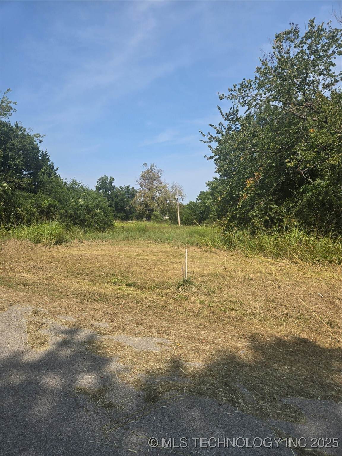  Maple Street - Photo 1