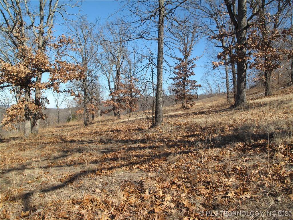 23 Hillside Road - Photo 1