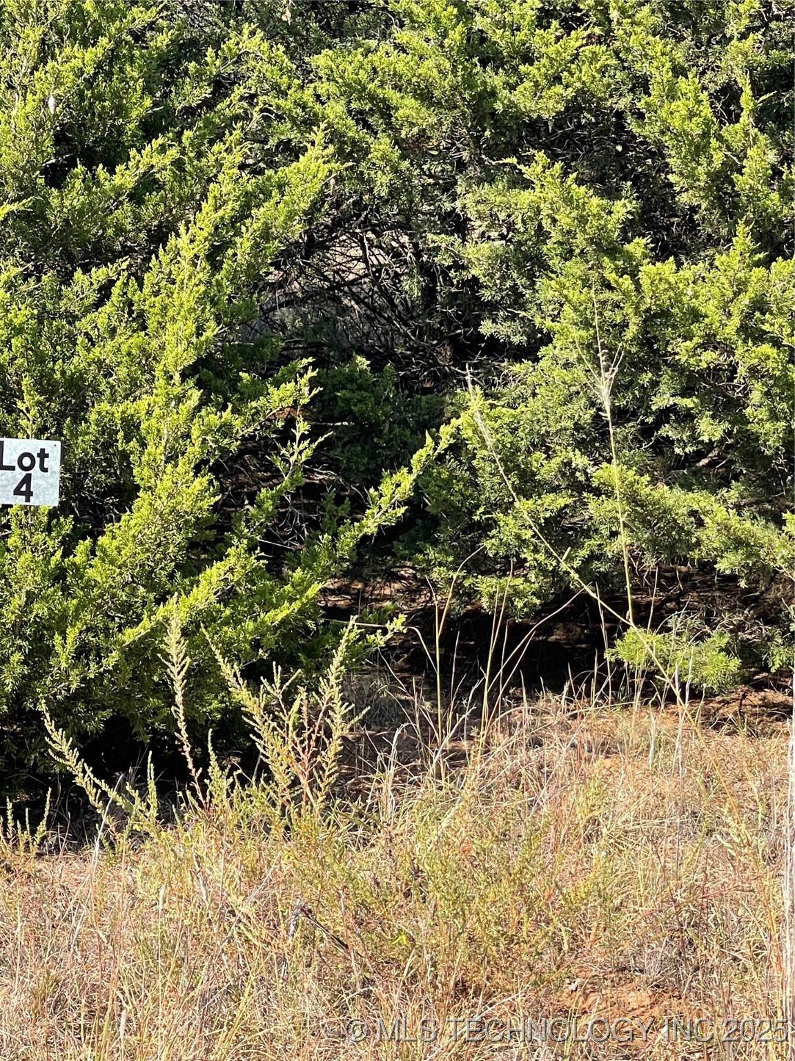 8006 W Jazz - Photo 1