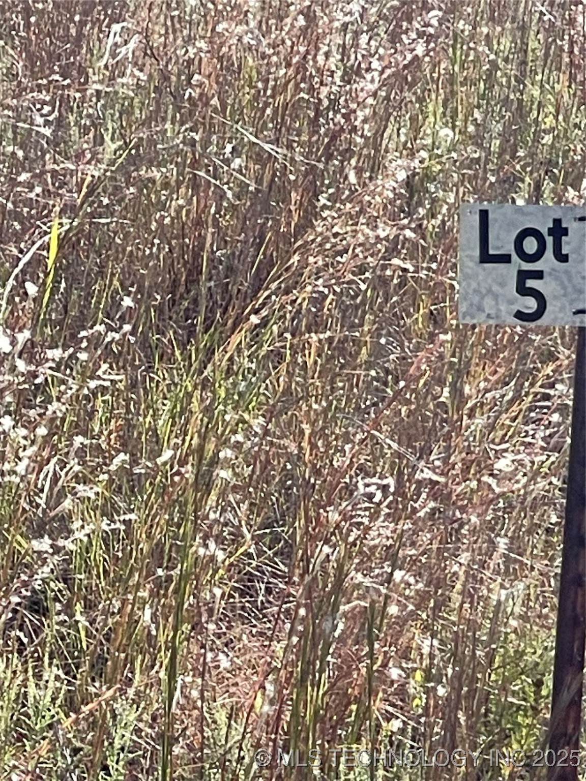 8007 W Jazz - Photo 1