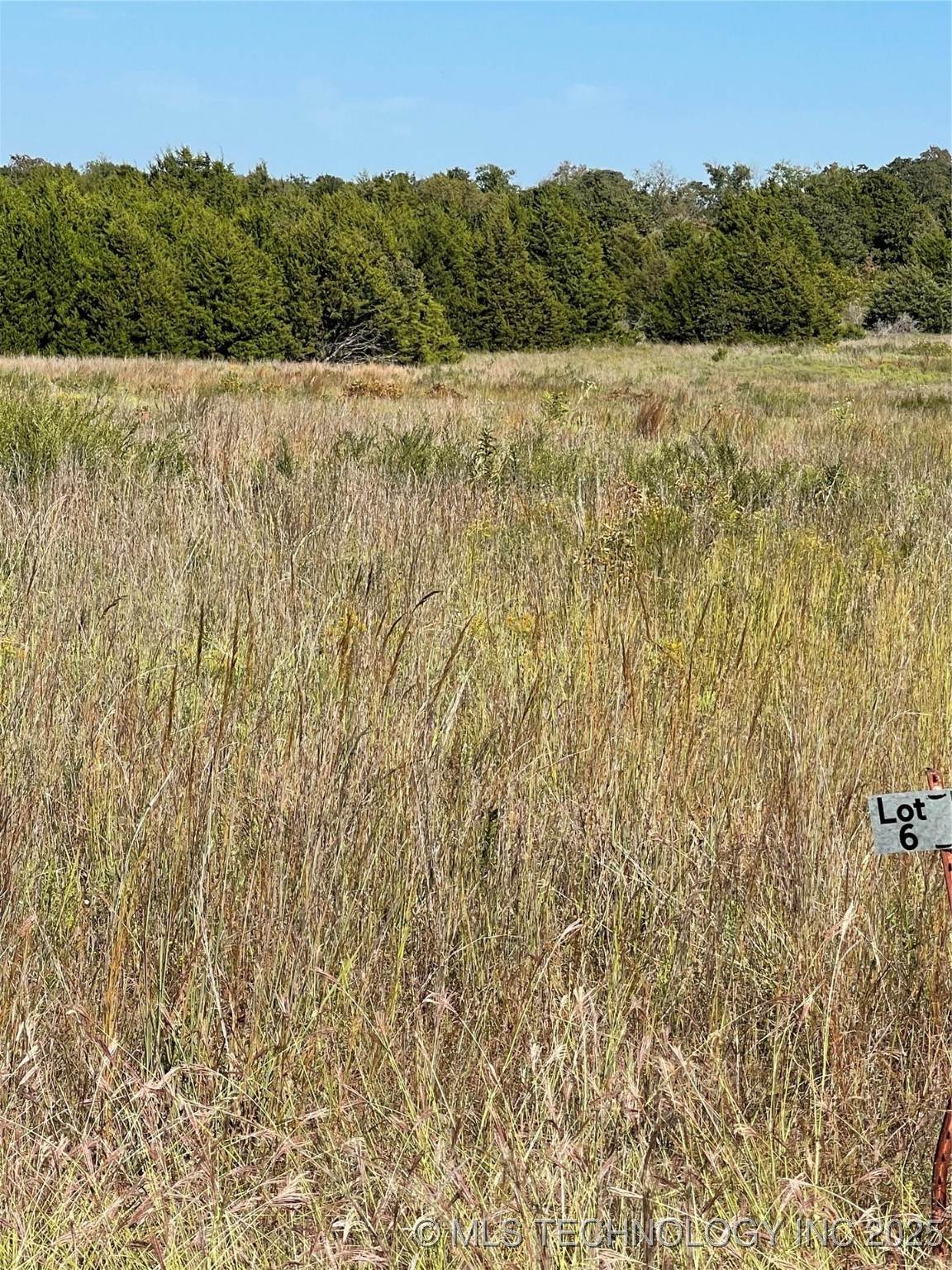 8019 W Jazz - Photo 1