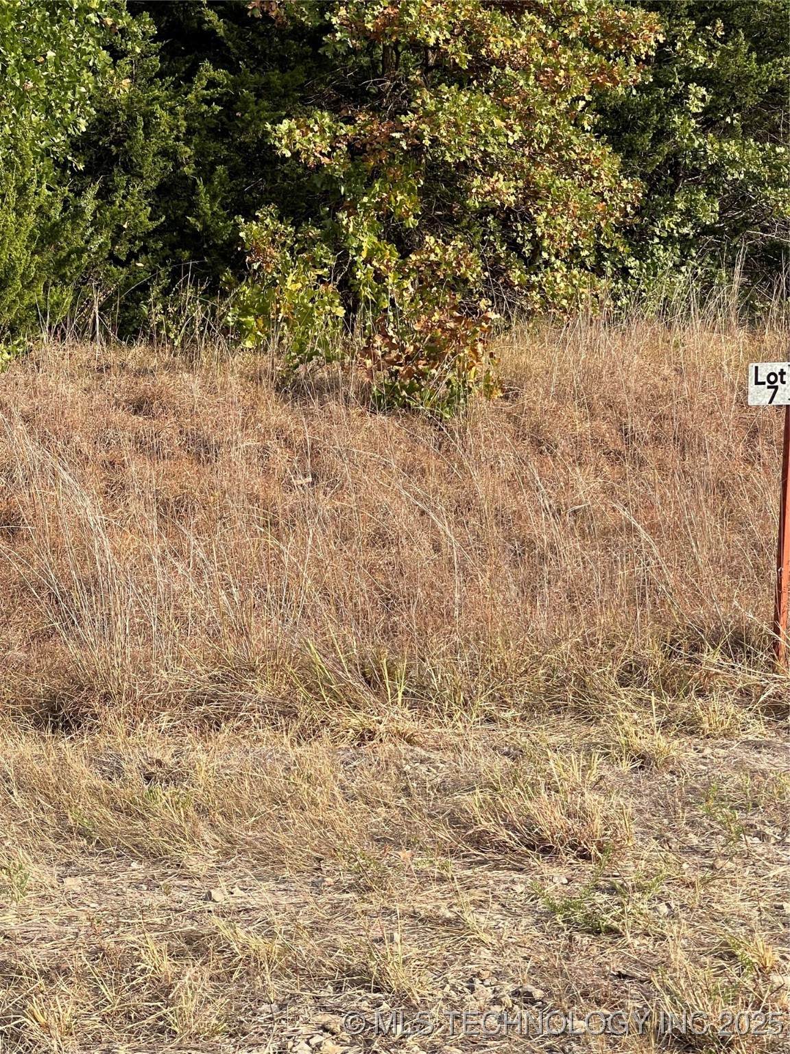 8016 W Jade - Photo 1