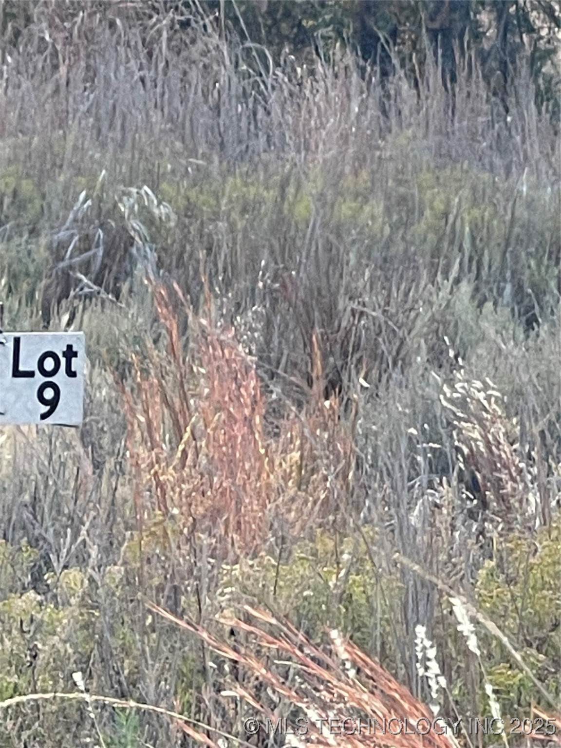 8005 W Jade - Photo 1