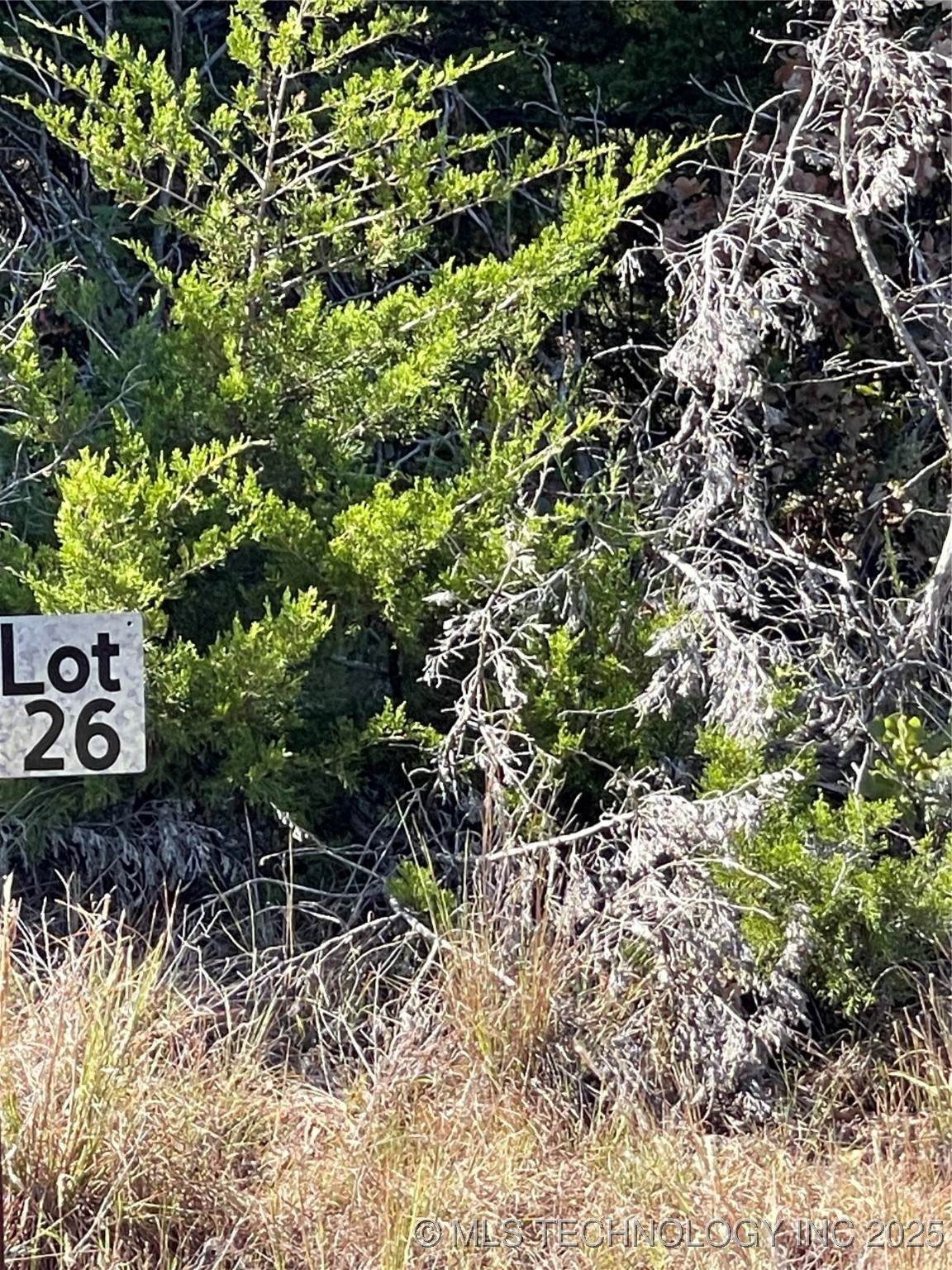 2518 S Mckenzie - Photo 1