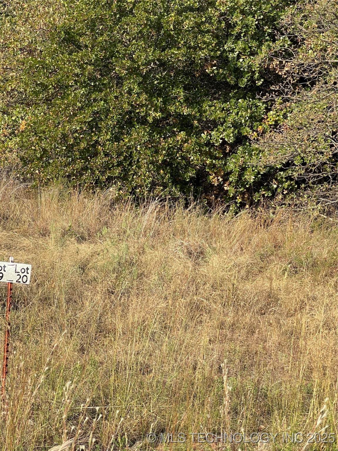 2623 Mckenzie - Photo 1