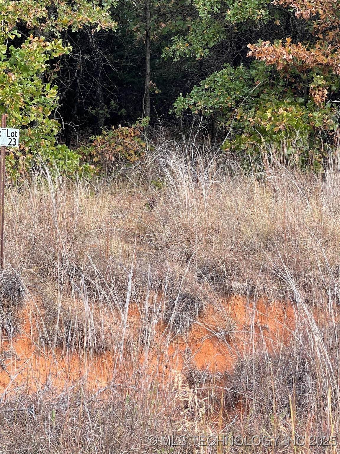 2612 S Mckenzie - Photo 1