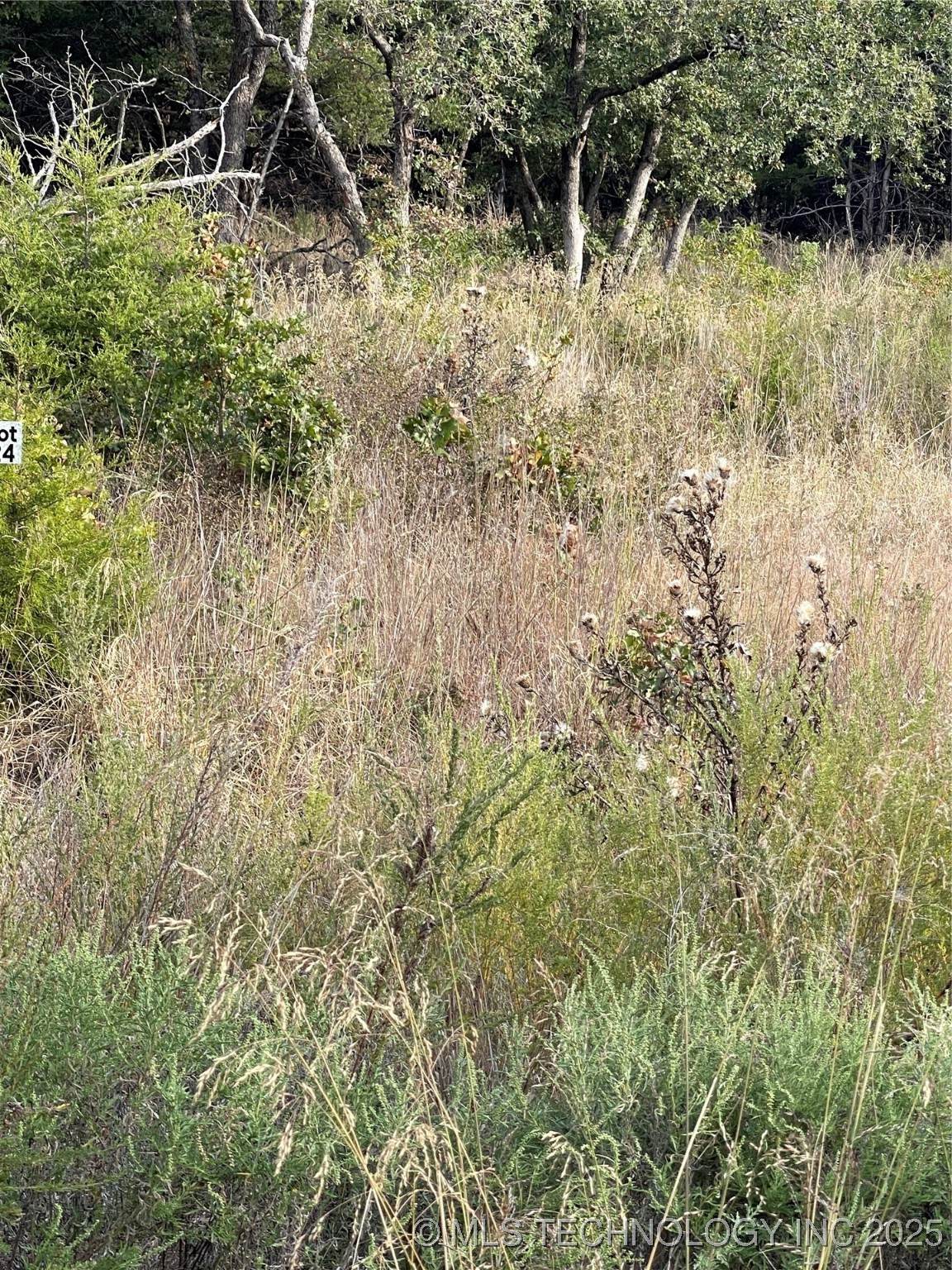 2608 S Mckenzie - Photo 1