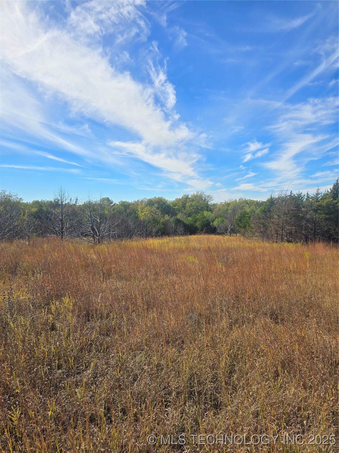 7007 6th Highway - Photo 1