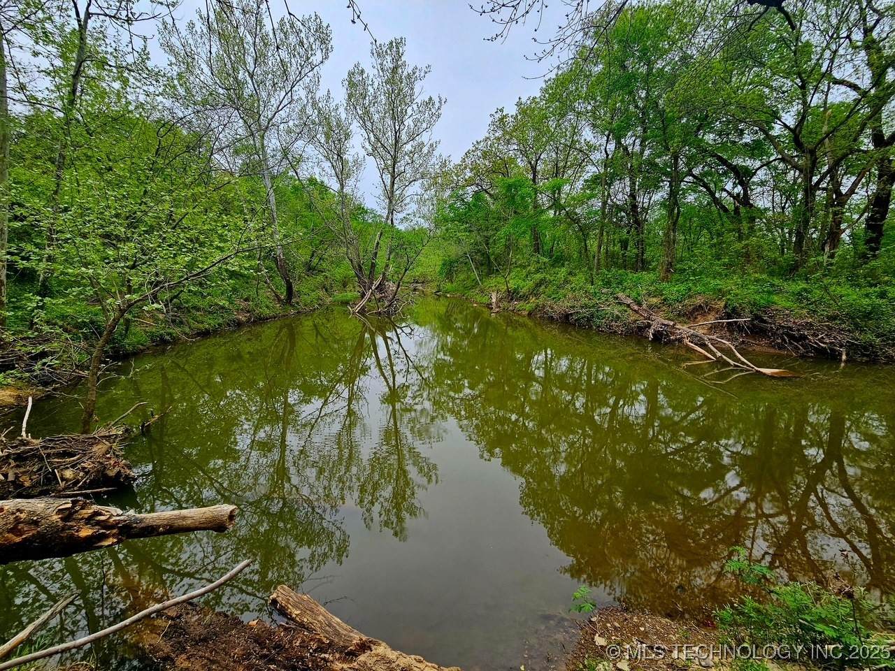 24 Holly Road - Photo 1