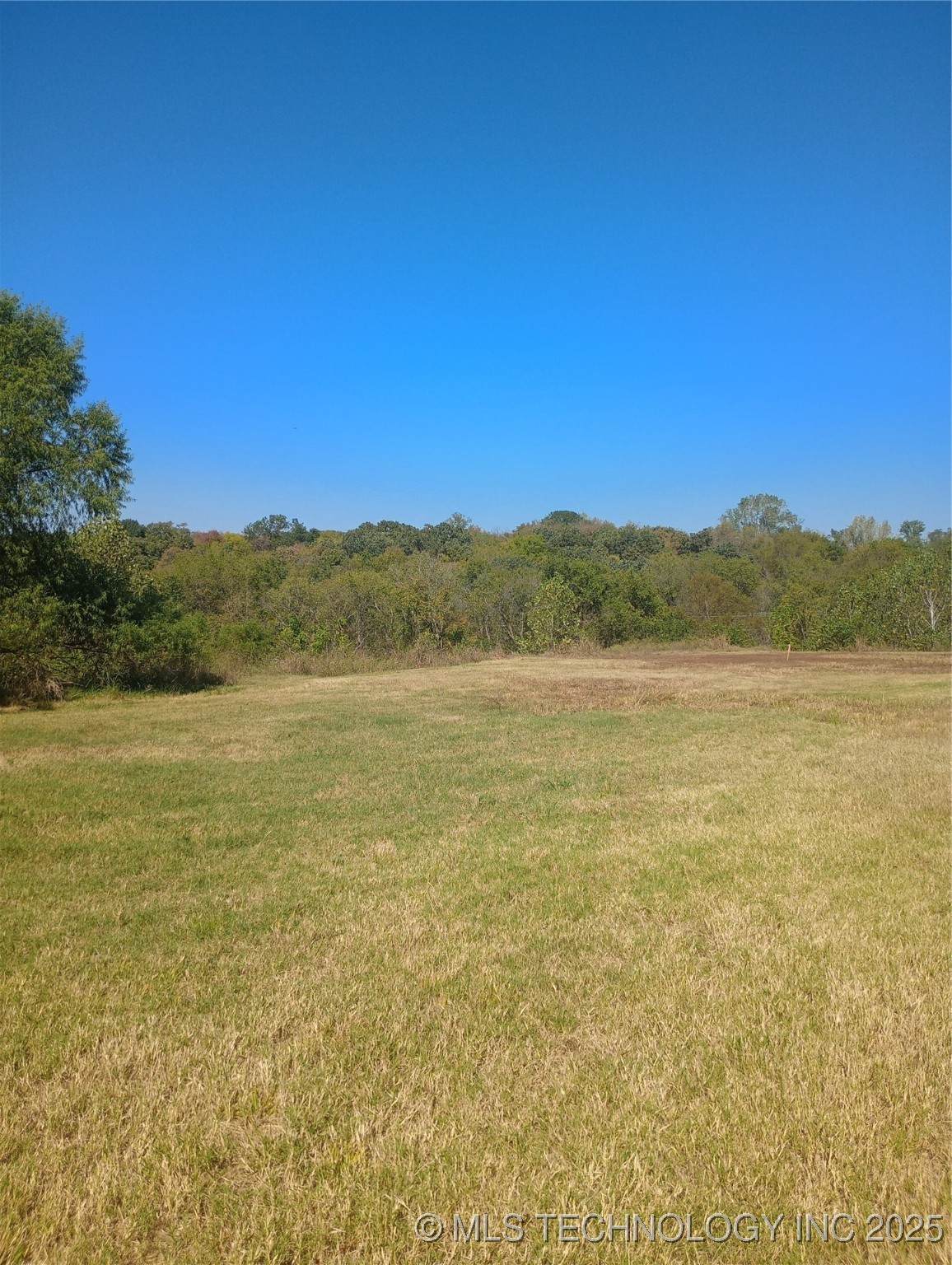  Line Street - Photo 1