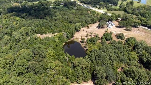 10067 Highway 78 - Photo 1